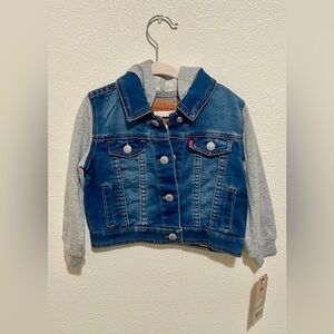 Baby Levi’s indigo trucker jacket, blue denim and grey, size 12-24m